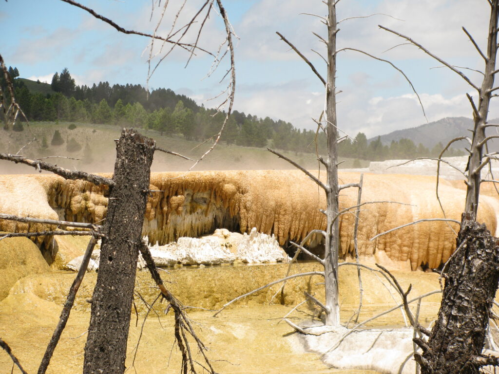 Mammoth-Hot-Springs