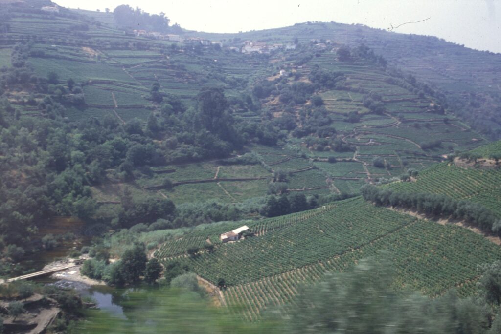 Fahrt von Regua nach Vila Real